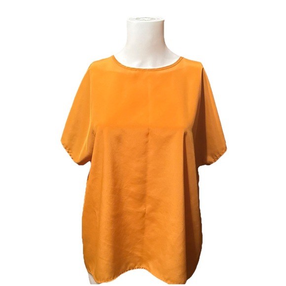 christie & jill Tops - Christie & Jill Brown Cap SleeveBlouse 100% Polyester Size XL